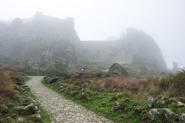 Similar image 22365492