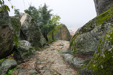 Similar image 22365508