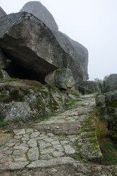 Similar image 22365509