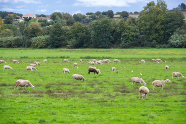 Similar image 22365538