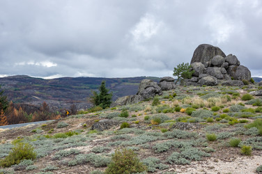 Similar image 22365648