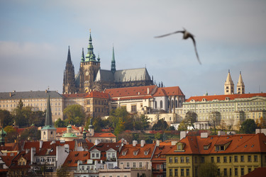 Similar image 22374690