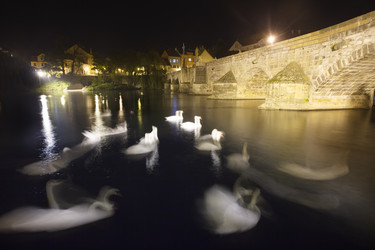 Similar image 22374711