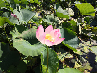 Similar image 22357464