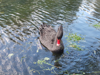 Similar image 22357468