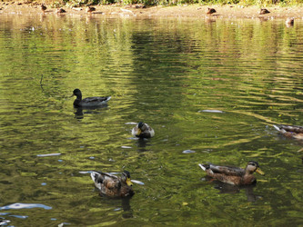 Similar image 22357470