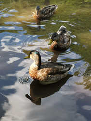 Similar image 22357471