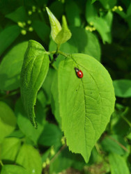 Similar image 22357472