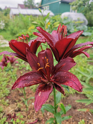 Similar image 22357474