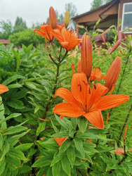 Similar image 22357475