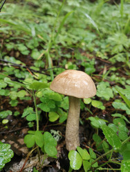 Similar image 22357477