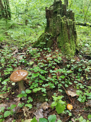 Similar image 22357478