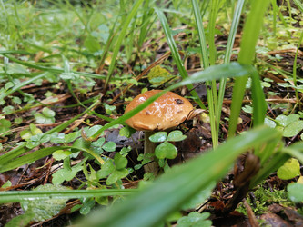 Similar image 22357480