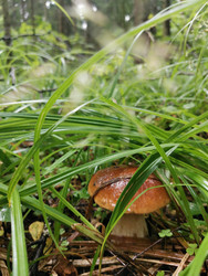 Similar image 22357481