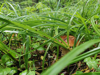 Similar image 22357483