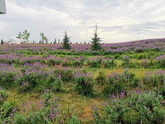 Similar image 22357502