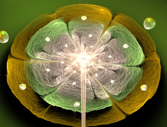 Similar image 22360979