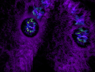 Similar image 22361029