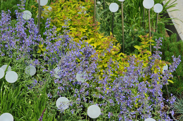 Similar image 22375694