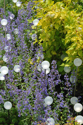 Similar image 22375695