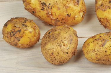 Similar image 22376436