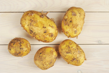 Similar image 22376438