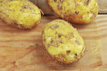 Similar image 22376446