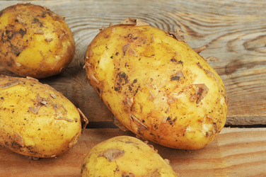 Similar image 22376447