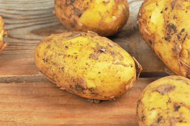 Similar image 22376449