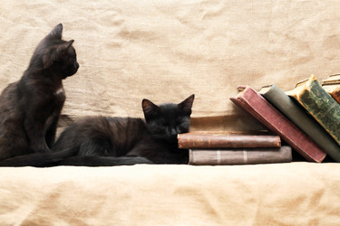 Similar image 22388127