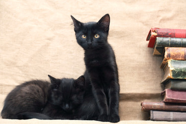 Similar image 22388128