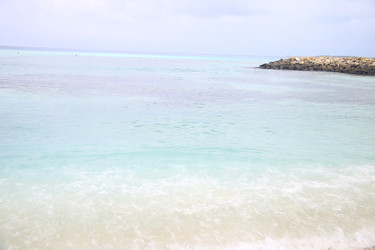 Similar image 22374913