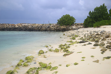 Similar image 22374942