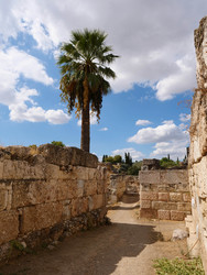 Similar image 22363972