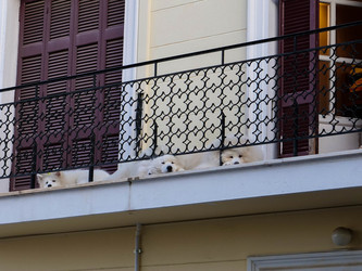 Similar image 22363998