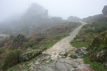 Similar image 22372108