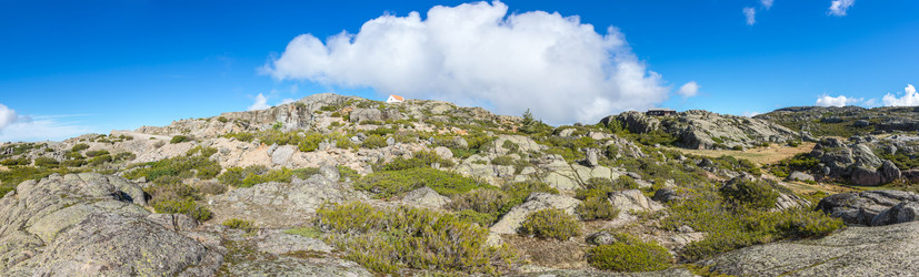 Similar image 22372289