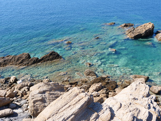 Similar image 22363912