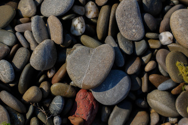 Similar image 22363922