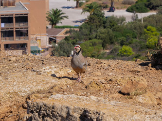 Similar image 22363945