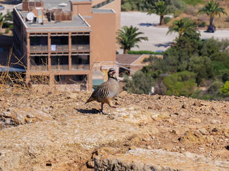 Similar image 22363947