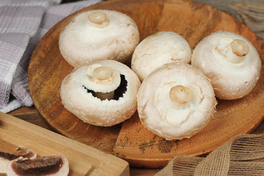 Similar image 22375667