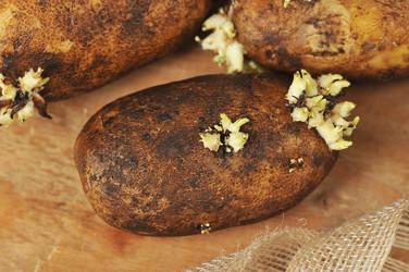 Similar image 22375682