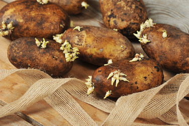 Similar image 22375683