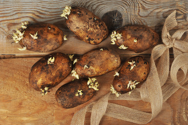 Similar image 22375696