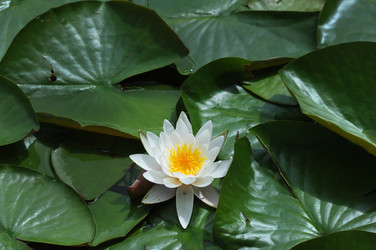 Similar image 22375699