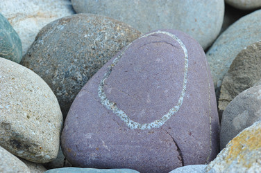 Similar image 22375709