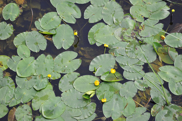 Similar image 22376412