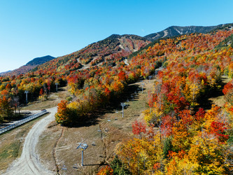 Similar image 22374535