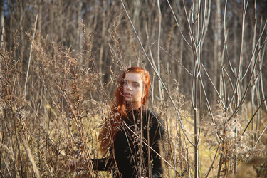 Similar image 22374950